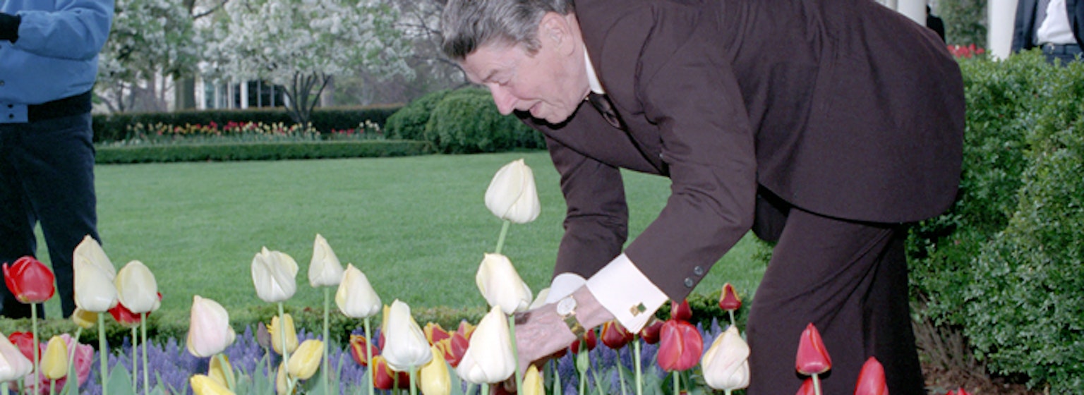 Ronald Reagan's white house diaries for the day of 04-13-1988