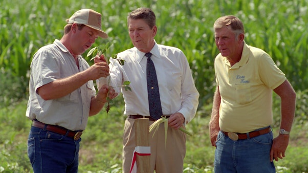 President Reagan observing crops with farmers in the field Three men in a field of green crops